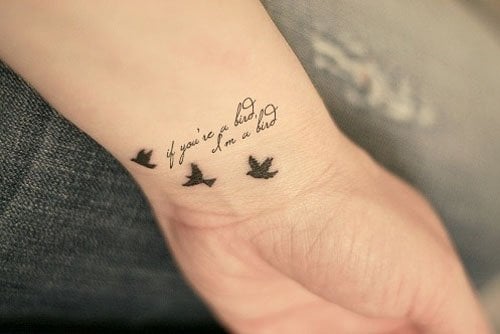 If you’re a bird, I’m a bird