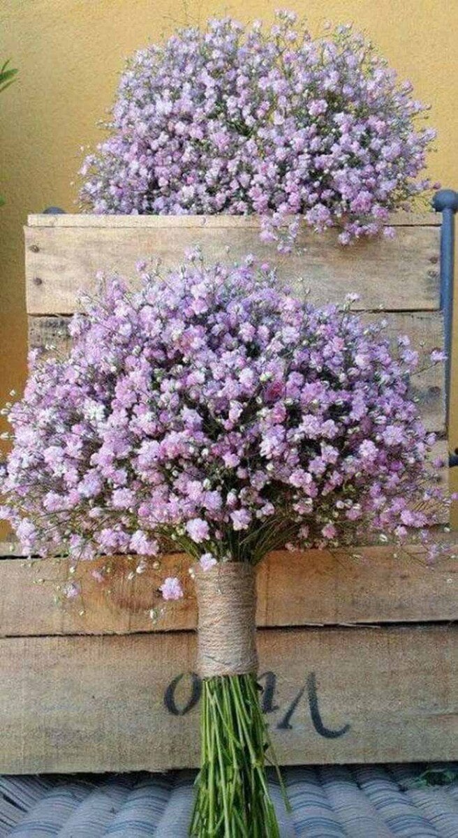 Purple Rain
