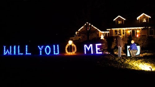 Holiday Lights