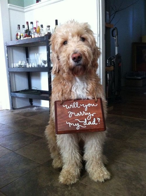 Your Dog