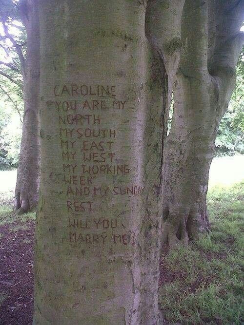 On a Tree