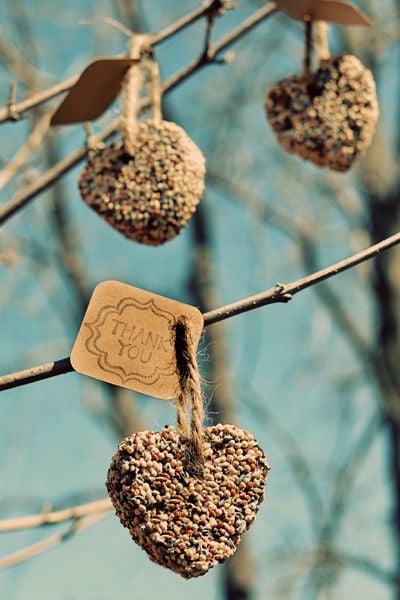 Birdseed Favors