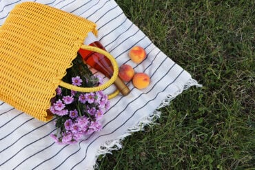 Bottle of Wine and Picnic