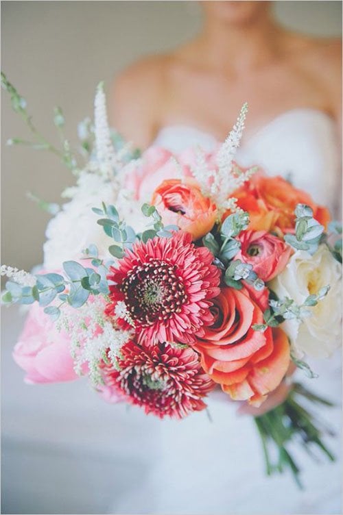 Coral