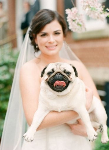 pets at weddings