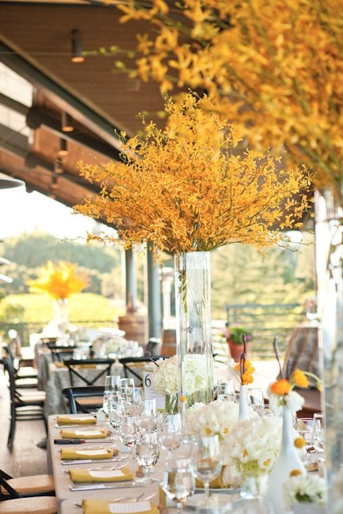 Fall Foliage