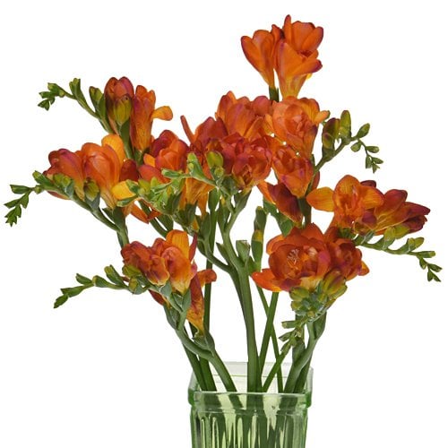fall wedding flowers