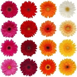fall wedding flowers