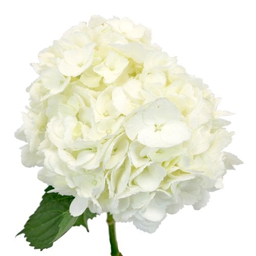 summer wedding flowers