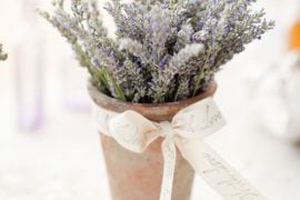 lavender wedding