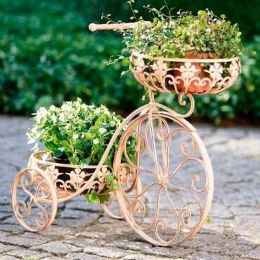 Potted Plants Pinterest