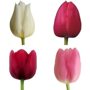 spring wedding flowers