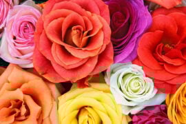 Wedding Flower Cost
