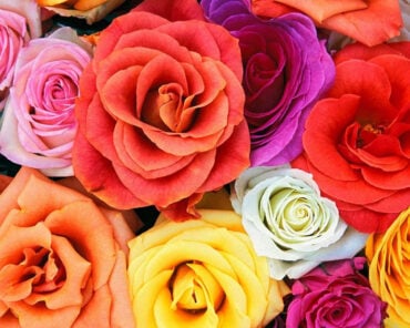 Wedding Flower Cost