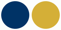 wedding colors blue and gold