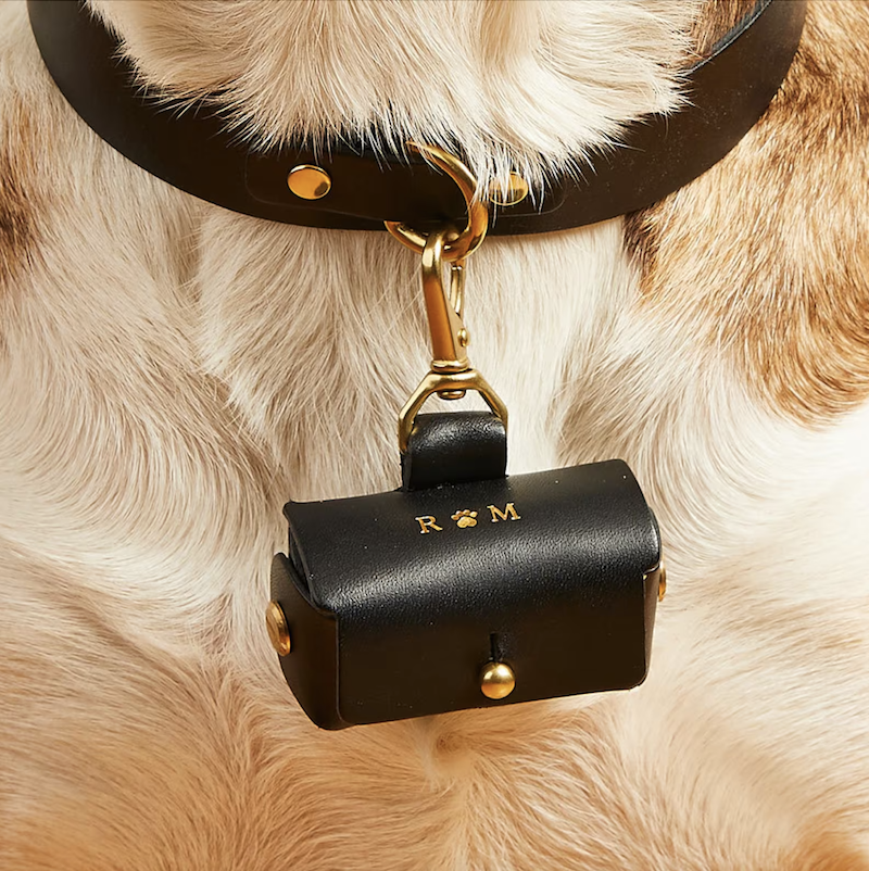 ring bearer dog pouch