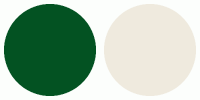 wedding colors green and ivory